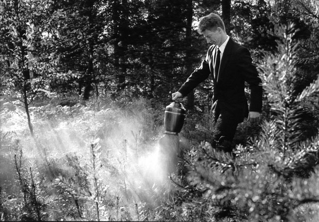 Ashes are scattered in the Memorial grove