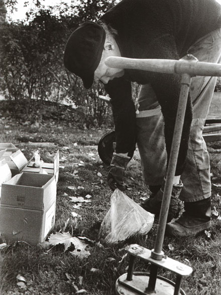 Ashes are buried in the memorial grove