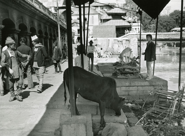 Cremation in Nepal dead death coffin photojournalism photo morgue cemetery crematorium cremation