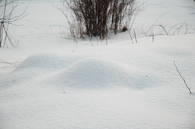 snow boobs