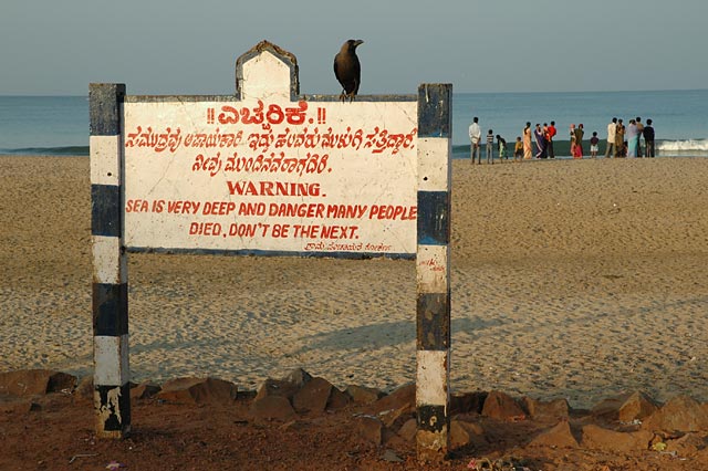 crow sitting on a sign warning that the sea is dangerous, many people die, don´t be the next