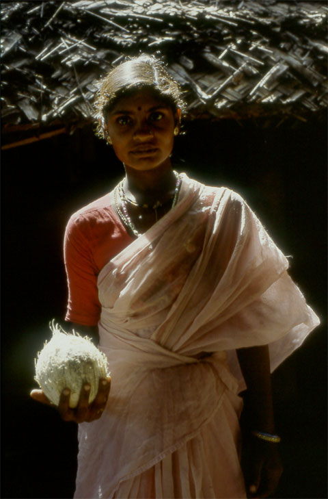 Peasant woman holding a coconut standing in sunlight wearing a sari India Kudle