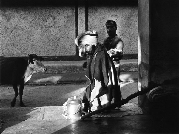 Cow sadhu brahmin Shiwa temple Gokarna India