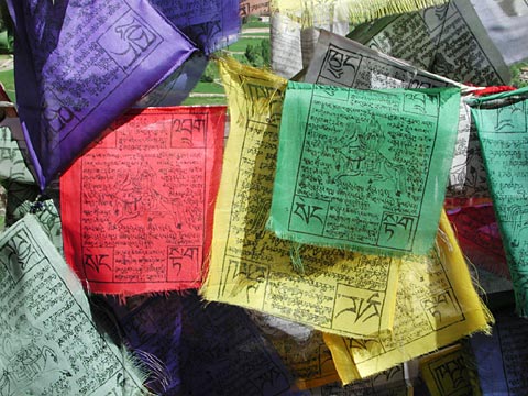 Ladakh leh tibetan monastery prayer flags