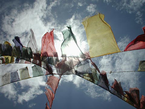 Ladakh leh tibetan monastery prayer flags