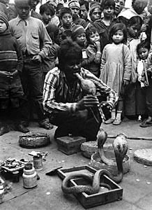 snake charmer Kathmandu nepal