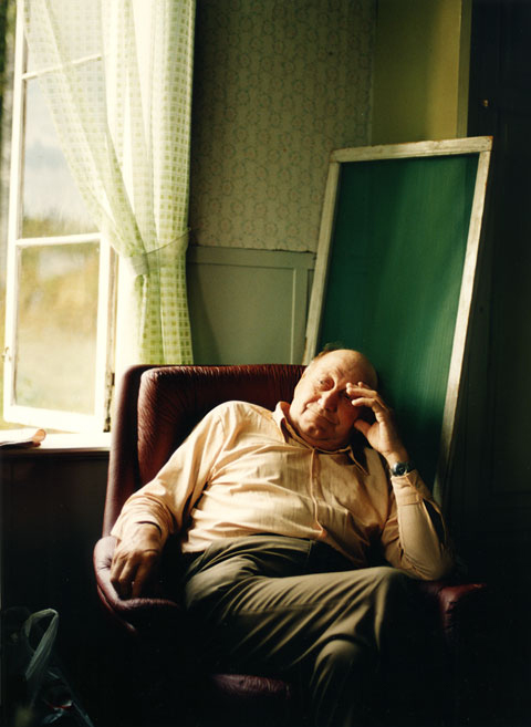 Man sitting next to window with green mosquito net behind, leaning towards his arm