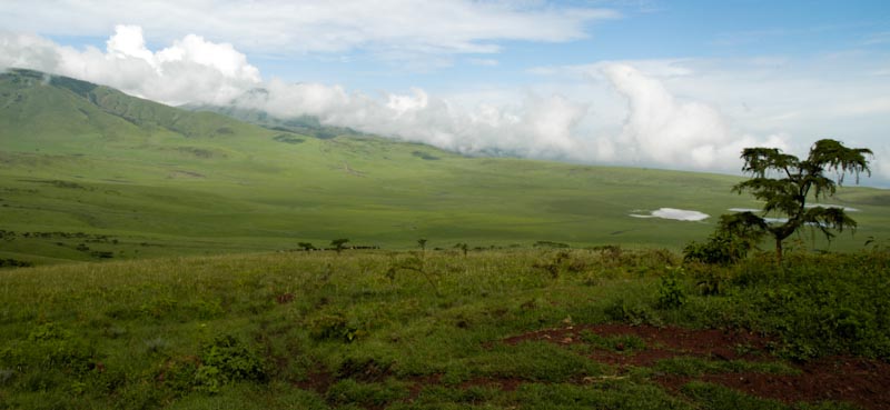 Serengeti national park