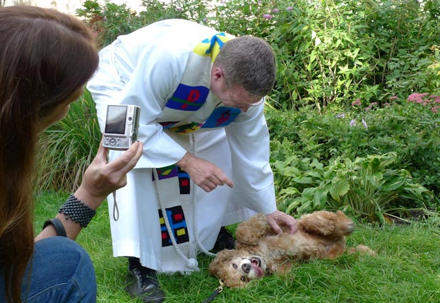 Blessing of the animals by Rev. Canon Thomas Miller at the Cathedral of Saint John the Divine. Mostly dogs and cats are present but even a camel, lama, raindeer, swan, other birds and pets are brought here