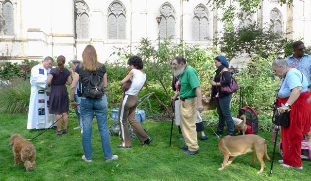 Blessing of the animals by Rev. Canon Thomas Miller at the Cathedral of Saint John the Divine. Mostly dogs and cats are present but even a camel, lama, raindeer, swan, other birds and pets are brought here