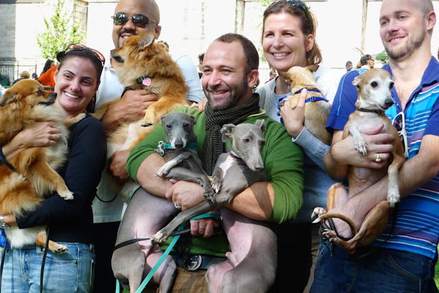 Blessing of the animals at the Cathedral of Saint John the Divine. Mostly dogs and cats are present but even a camel, lama, raindeer, swan, other birds and pets are brought here