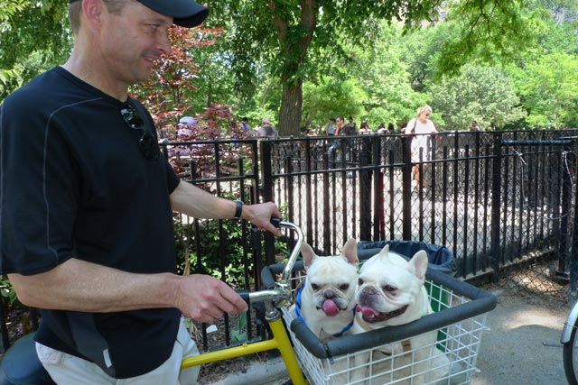 Doggie Pedal Parade Tompkins Square Park woof
